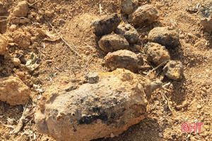 Phát hiện nhiều mìn, lựu đạn khi cải tạo vườn tại Vũ Quang