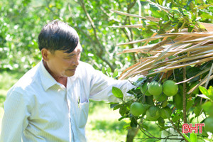 Tiên phong mở đường, cựu binh vùng biên Hà Tĩnh trở thành chủ trang trại rộng 27 ha