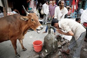 Ấn Độ khủng hoảng nước, hàng trăm triệu người điêu đứng