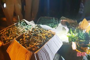 64 kg quả thuốc phiện “ủ” trên xe khách tuyến Hương Sơn - Hải Phòng