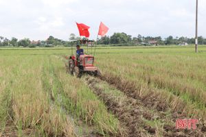 Hà Tĩnh chung sức hồi sinh sau lũ