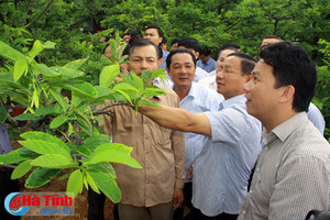 “Mỗi xã, phường một sản phẩm” kinh nghiệm của Quảng Ninh