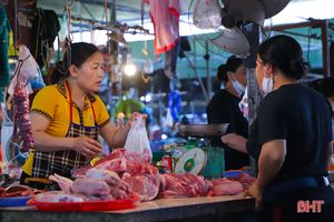 Hà Tĩnh: Giá thịt lợn tăng cao, khó cả người bán lẫn người mua