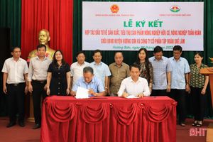 Tập đoàn Quế Lâm hợp tác sản xuất, tiêu thụ sản phẩm nông nghiệp hữu cơ với huyện Hương Sơn
