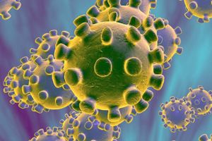 WHO họp khẩn về virus viêm phổi lạ Trung Quốc, cảnh báo nguy cơ lan rộng