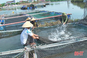 Thạch Hà hoàn thành các kịch bản ứng phó với mưa bão