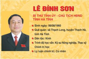 [Infographic]Chân dung tân Chủ tịch Hội đồng nhân dân tỉnh Lê Đình Sơn