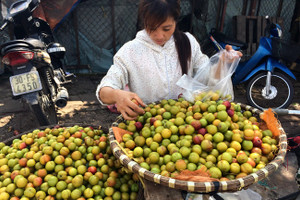 Điểm mặt những loại mận Trung Quốc có bán trên thị trường