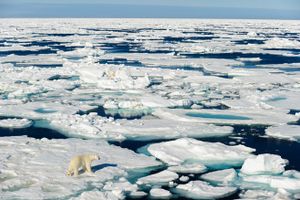Thế giới thiệt hại hàng nghìn tỷ USD do băng tan tại Bắc Cực