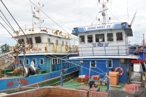 76,69% dư nợ cho vay đóng tàu cá theo Nghị định 67 là nợ xấu