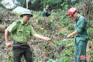 Xác định chính xác thiệt hại vụ cháy rừng chưa từng có ở Hà Tĩnh
