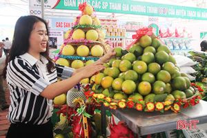 Ngắm các sản phẩm nông nghiệp tiêu biểu lên kệ tại Hà Tĩnh