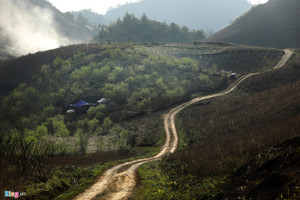 Mộc Châu đẹp như tranh những ngày đầu xuân