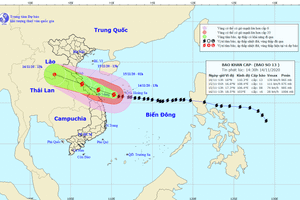 Bão số 13 giật cấp 17, Hà Tĩnh ban hành công điện khẩn