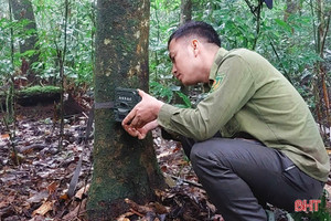 Lắp 85 điểm bẫy ảnh giám sát đa dạng sinh học tại Vườn Quốc gia Vũ Quang