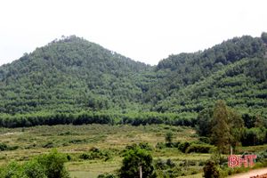 Bảo vệ gần 85.000 ha rừng, Hương Sơn sẵn sàng phương án “4 tại chỗ”
