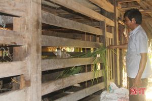 Xã nuôi hươu nhiều ở Hương Sơn đạt tổng đàn gần 3.000 con