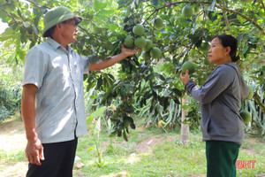 Trang trại hơn 15ha doanh thu hàng tỷ đồng của cựu chiến binh ở Hương Sơn