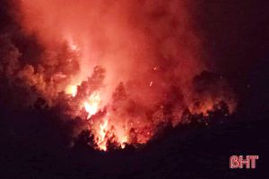 Hà Tĩnh: Cháy rừng trong đêm tại Can Lộc
