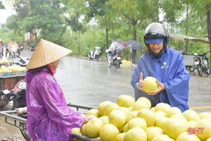 Người dân “chật vật” tìm cách tiêu thụ bưởi Phúc Trạch trong mưa lũ