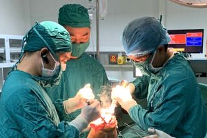 Phẫu thuật thay khớp gối nhân tạo lần đầu tiên được triển khai tại Hà Tĩnh