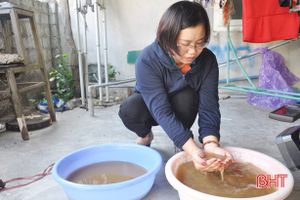 Tìm ra nguyên nhân nước máy ở Thiên Lộc có màu vàng đục, lắng cặn
