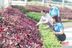 “Vườn ươm công đoàn” tiết kiệm hàng trăm triệu đồng làm hàng rào xanh