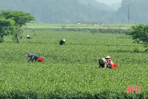 Hương Sơn: 969 mô hình “dân vận khéo” phát huy hiệu quả