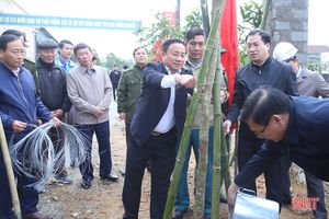 Bí thư Tỉnh ủy Hà Tĩnh Lê Đình Sơn tham gia trồng cây đầu xuân Canh Tý