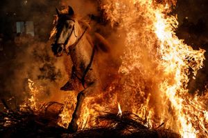 Độc đáo lễ hội phi ngựa qua lửa ở Tây Ban Nha
