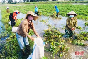 Những người “tiếp lửa” cho phong trào phụ nữ thôn ở Lộc Hà