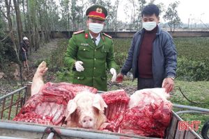 Mua lợn chết ở Can Lộc về xẻ thịt bán cho các cơ sở sản xuất giò chả