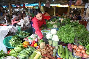 Nguồn cung dồi dào, giá rau xanh tại Hà Tĩnh “hạ nhiệt”
