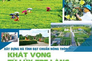 Xây dựng Hà Tĩnh đạt chuẩn nông thôn mới - khát vọng từ lũy tre làng