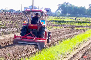 Sau mưa lũ, nông dân Hà Tĩnh hối hả xuống đồng sản xuất rau vụ đông