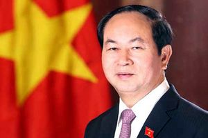"Việt Nam tiếp tục chủ động, kiên định trong chặng đường phía trước"