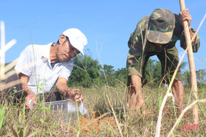 Theo chân nông dân miền núi Hà Tĩnh đi “săn” dế