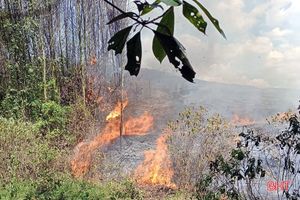 Huy động hơn 250 người kịp thời khống chế cháy rừng ở Hương Khê