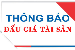 Thông báo bán đấu giá 2 lô đất và tài sản gắn liền ở huyện Thạch Hà