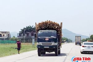 Xe quá khổ chở gỗ nguyên liệu “tung hoành” trên đường Kỳ Anh