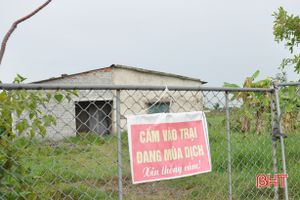 Dịch tả lợn châu Phi xuất hiện tại 18 địa phương, Hà Tĩnh ráo riết phòng chống