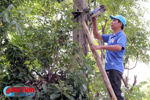 Xây dựng đường điện thắp sáng đường quê trên "ốc đảo" Hồng Lam