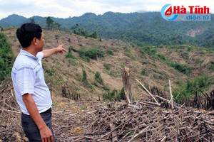 Giải quyết khiếu nại, tố cáo ở Hương Khê: Bao giờ hết “nóng”?!