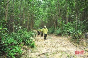 Chủ động phòng cháy, ngăn chặn việc lấn chiếm, phá rừng ở Hương Khê