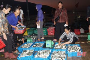Ngư dân Thạch Kim đánh bắt gần 500 tấn hải sản, "bỏ túi" 14 tỷ đồng