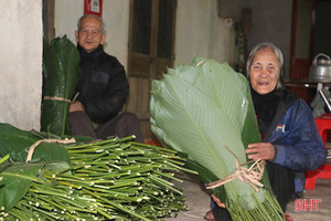 Làng lá dong nơi bãi bồi sông Ngàn Phố vào vụ tết