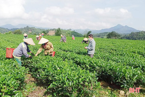 Xã biên giới Hương Sơn khởi sắc từ xây dựng nông thôn mới