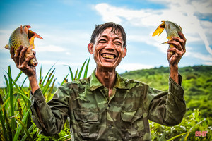 Bắt cá, cầu may!