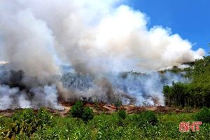 Huy động 700 người kịp thời khống chế cháy rừng ở Can Lộc