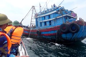 Rầm rộ tàu giã cào khai thác sò nhám trái phép ở vùng biển Hà Tĩnh